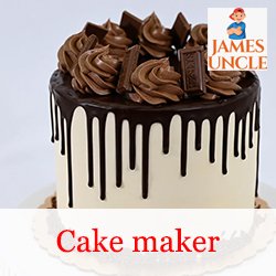 Cake maker Miss. Remosmita Ghosh in Regent Estate